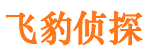 林甸寻人公司